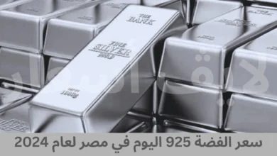 سعر الفضة 925 اليوم في مصر لعام 2024: التفاصيل الكاملة وأهم المزايا