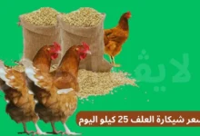 سعر شيكارة العلف 25 كيلو اليوم